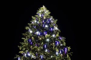 Weihnachtsbaum - Strasbourg     
