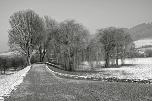 Am Grossen Deich OG     