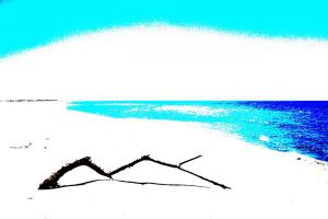 Camargue, Nähe Salin Giraud.fotografiert mit Tonwerttrennung