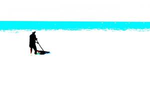 Camargue, Nähe Salin Giraud.fotografiert mit Tonwerttrennung