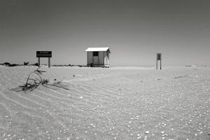 Camargue. Nähe Salin Giraud